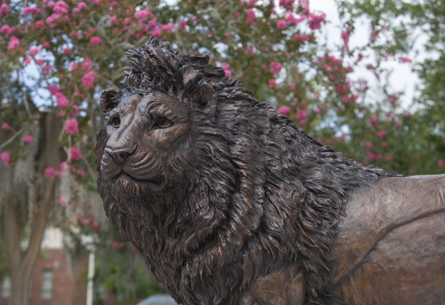 A lion statue at Southeastern Louisiana University.